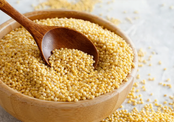 Foxtail Millet